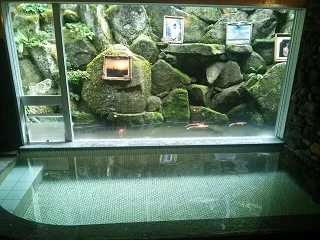 大谷温泉 かじか荘（閉館しました）