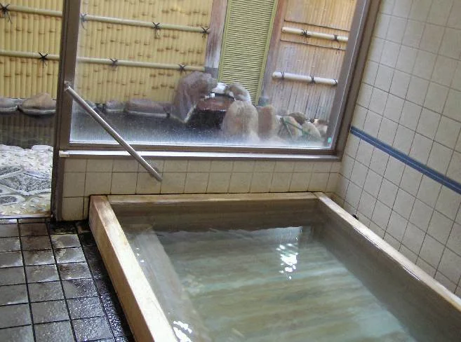 さぎの湯温泉 竹葉