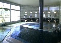 Matsue Shinji Lake Onsen, Shouheikaku - Shimane