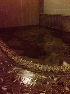 奥津温泉 名泉鍵湯 奥津荘