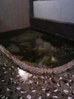奥津温泉 名泉鍵湯 奥津荘