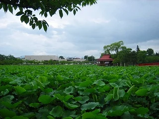 尾上町農村環境改善センター さるか荘