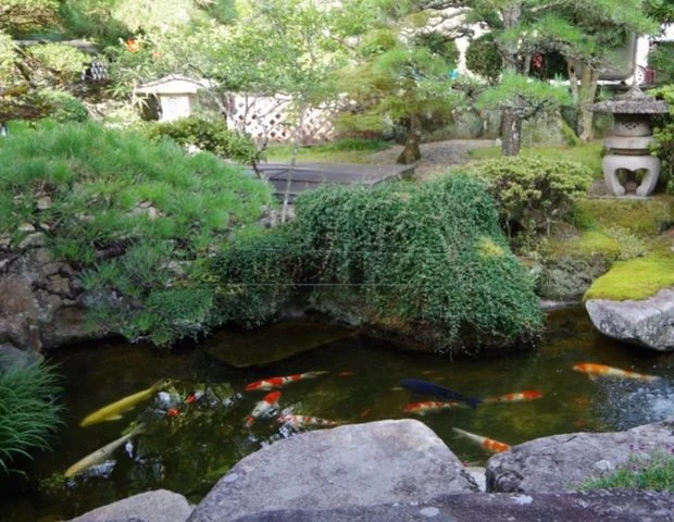 鷺の巣温泉 湯本屋旅館
