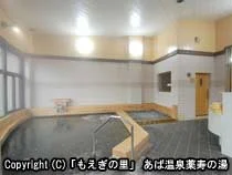 「もえぎの里」 あば温泉薬寿の湯