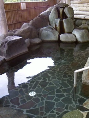 「もえぎの里」 あば温泉薬寿の湯