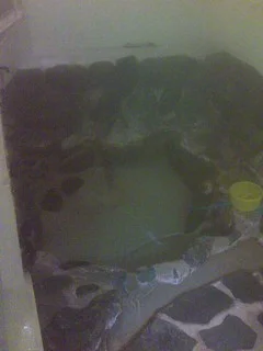 たねや旅館(閉館しました)