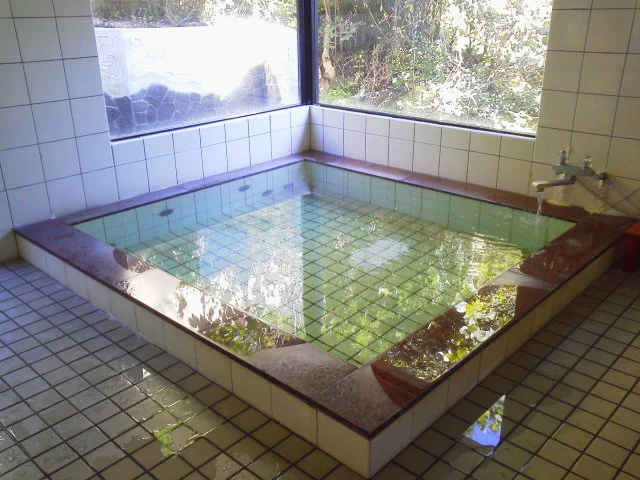 リゾート イン 湯郷