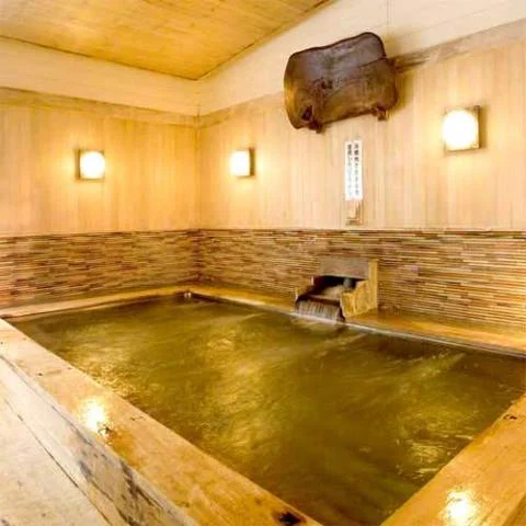 湯迫温泉 白雲閣 - 岡山県