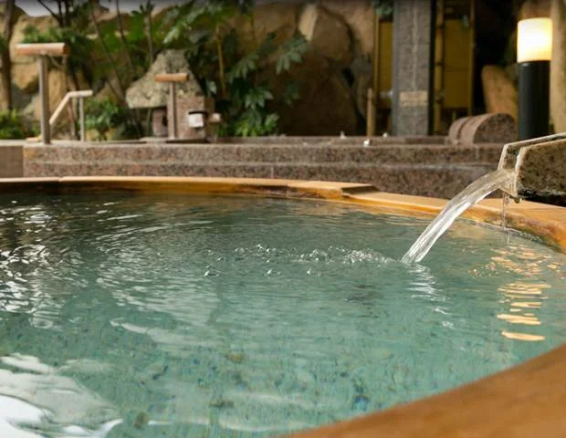 湯めぐりの宿 松の家 花泉