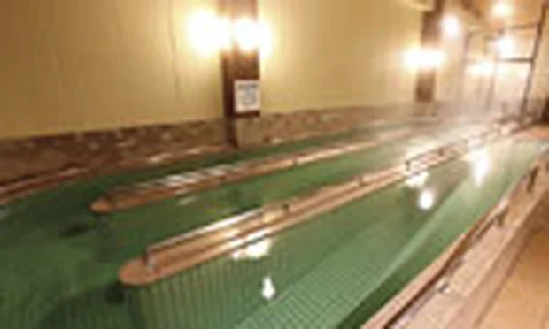 天然温泉 大家族の湯