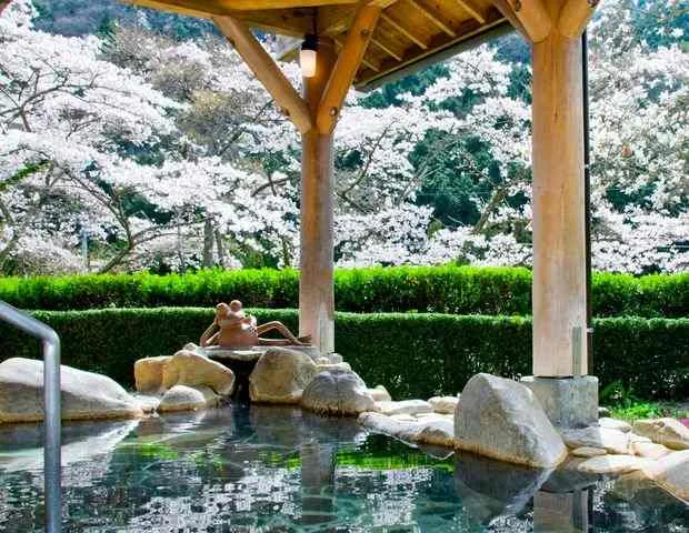 憩いの家 石船温泉
