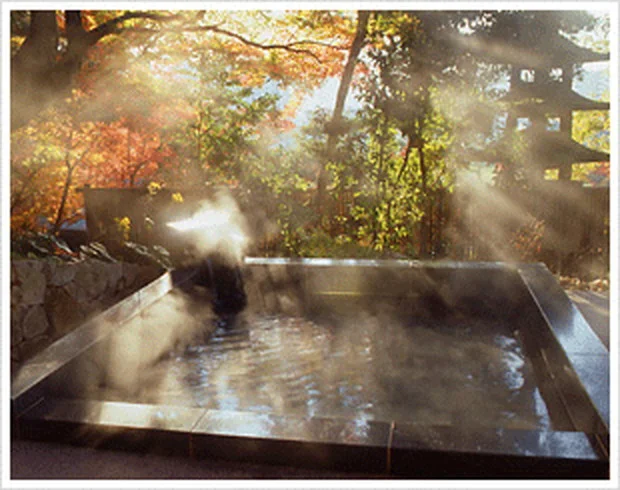 山水園 翠山の湯(すいざんのゆ）