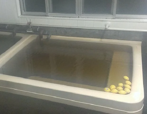 すもも沢温泉郷