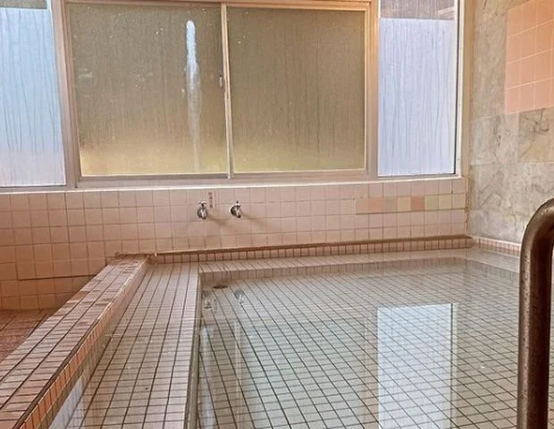 一の俣温泉 藤乃湯（旧 湯の華荘）