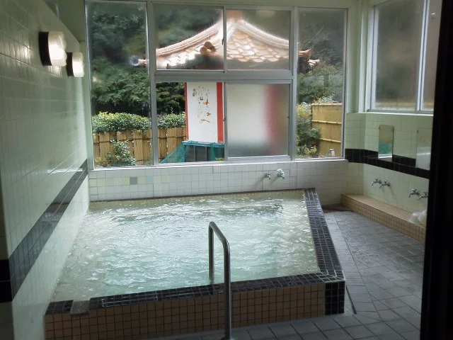 一の俣温泉 藤乃湯（旧 湯の華荘）