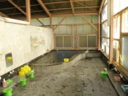 一の俣温泉 温泉荘（閉館しました）