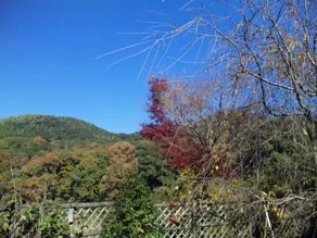 天宿の杜 桂月