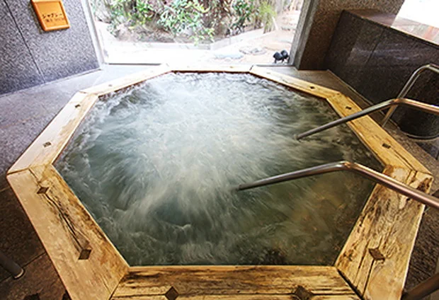 湯本温泉 大谷山荘