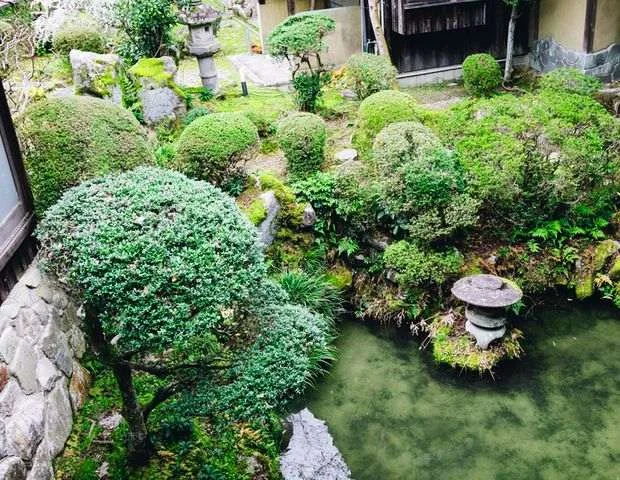 三丘温泉 オーベルジュ三水園