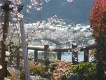 岩国国際観光ホテル いつつばしの里