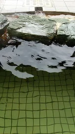 片添ヶ浜温泉 遊湯ランド