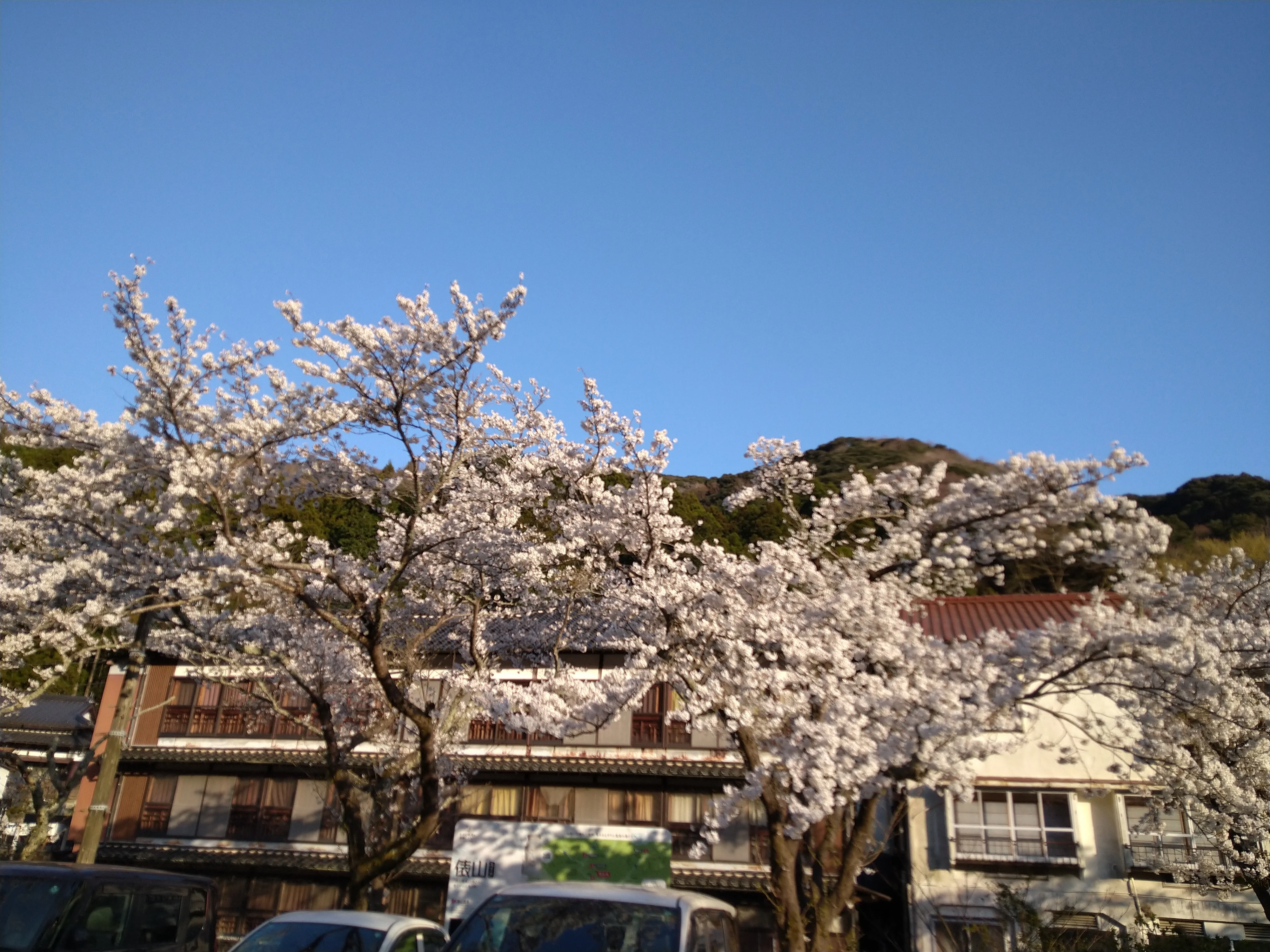俵山温泉 白猿の湯