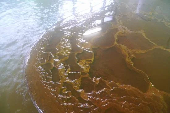 白馬龍神温泉