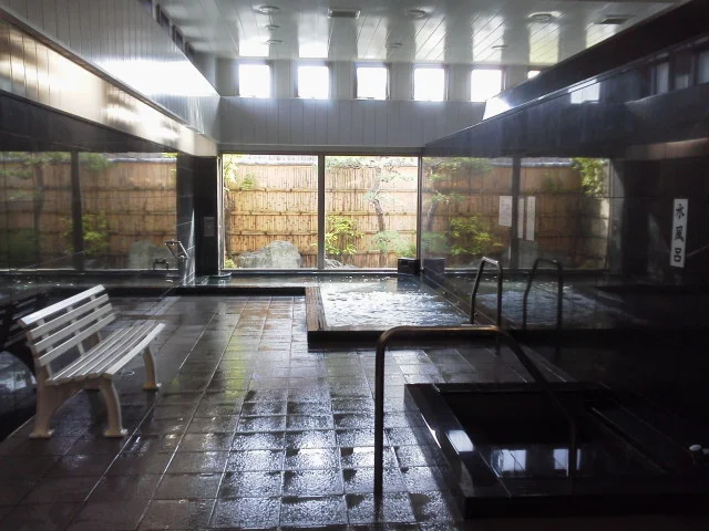薬王寺温泉 湯元・醫王の湯