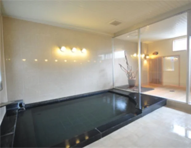 峡谷の宿ホテル大歩危峡まんなか