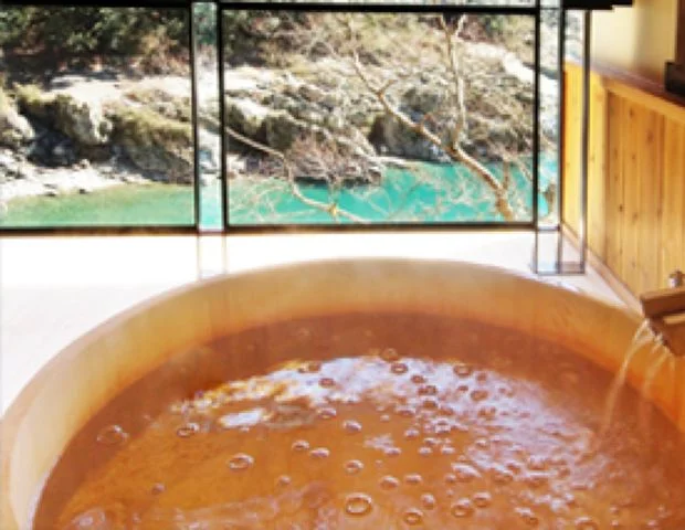 峡谷の宿ホテル大歩危峡まんなか