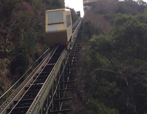 渓谷の隠れ宿　祖谷美人