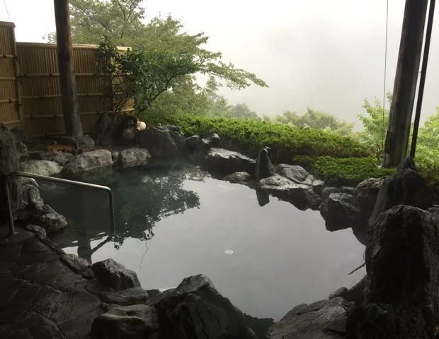 新祖谷温泉ホテルかずら橋