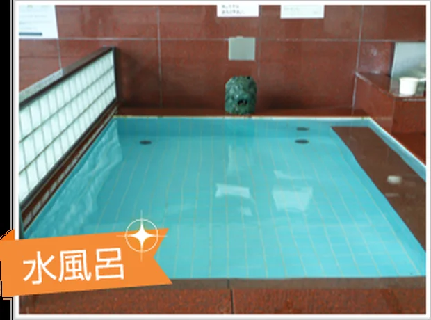 やしま第一健康ランド(閉館しました)