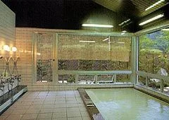 Yakushi-yu Onsen Ryokan Takeyashiki - Kagawa