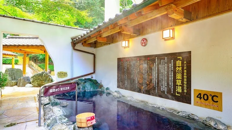 大江戸温泉物語　ホテルレオマの森