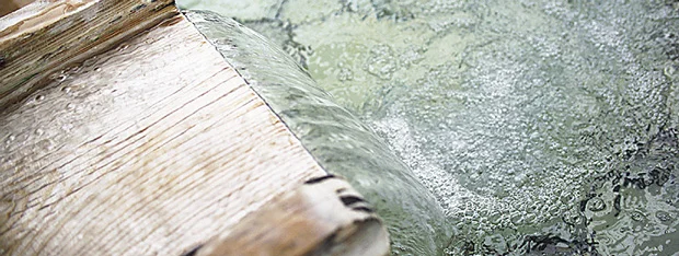 夕凪の湯HOTEL花樹海（はなじゅかい）