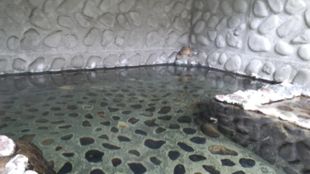 濃々園（休館中）