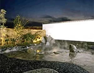 道後温泉 ホテルルナパーク