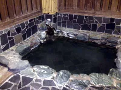 新居浜温泉パナス