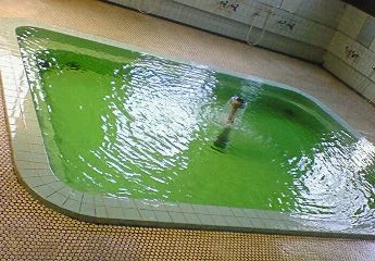 新屋温泉(閉館しました)