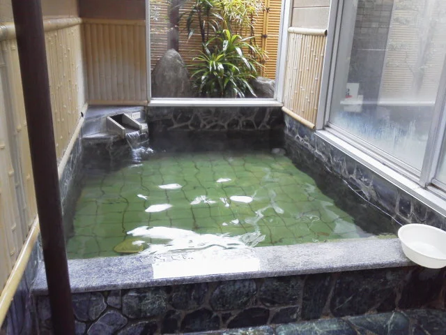 天然の湯 いよ温泉