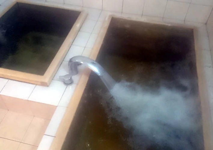 南道後温泉ホテル　ていれぎ館