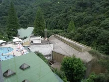 奥道後 壱湯の守（いちゆのもり）