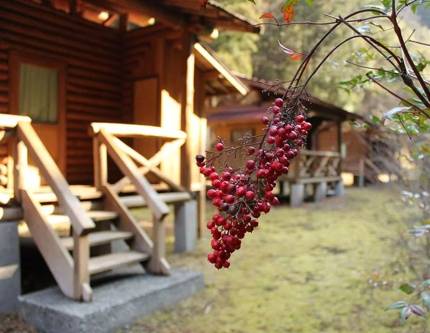 四万十源流の里