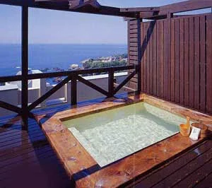 あしずり温泉郷 ホテル足摺園 - 高知県