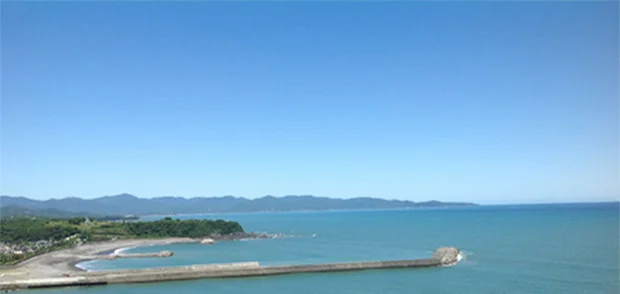 山みず木