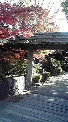 美奈宜の杜温泉「杜の湯」(閉館しました)