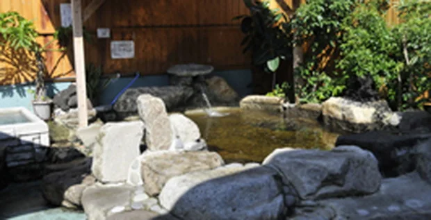 大川温泉 貴肌美人 緑の湯