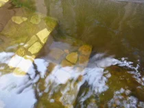 大川温泉 貴肌美人 緑の湯
