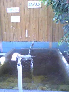 大川温泉 貴肌美人 緑の湯